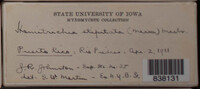 Image Associated With the Occurence
